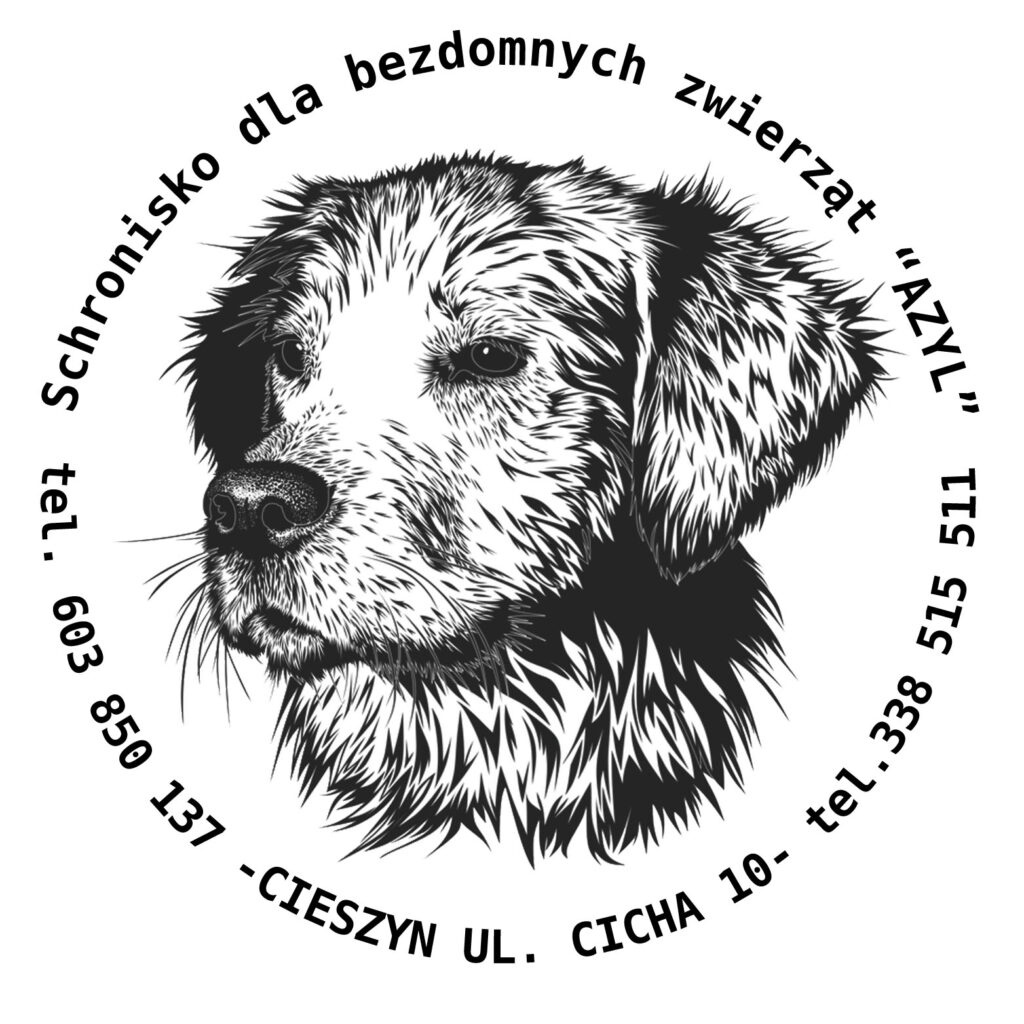 Obowiązki gmin wobec zwierząt bezdomnych i wolno żyjących