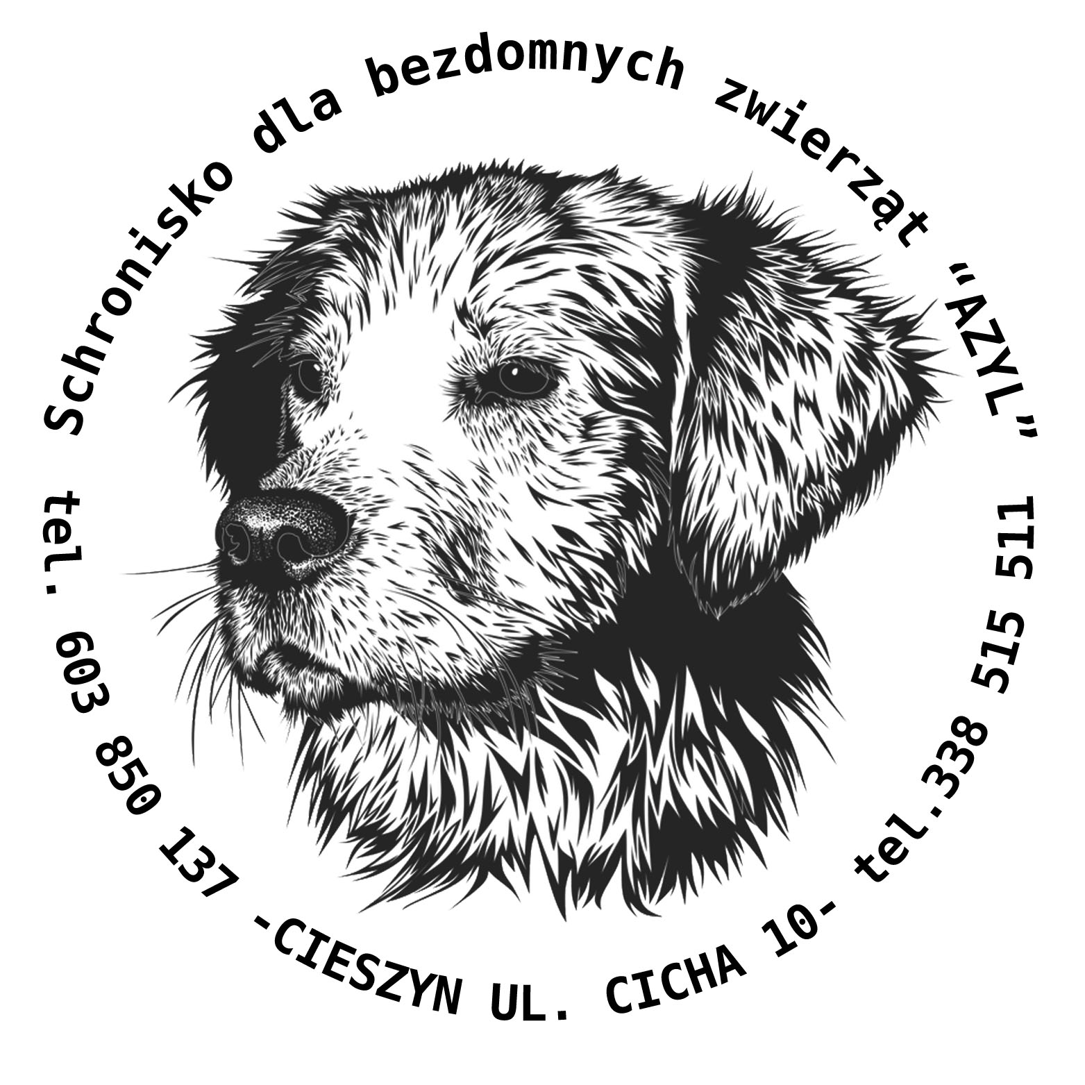 Obowiązki gmin wobec zwierząt bezdomnych i wolno żyjących